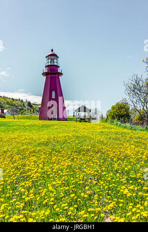 Rot lackiert Leuchtturm mit gelben Löwenzahn Blumen in La Martre in der gaspe Halbinsel, Quebec, Kanada, Gaspesie region Stockfoto