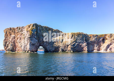 Gannett Vogel von Rocher Percé Rock Cliff in Gaspesie Region von Quebec, Kanada fliegen Stockfoto