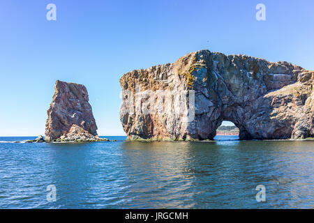 Gannett Vogel von Rocher Percé Rock Cliff in Gaspesie Region von Quebec, Kanada fliegen Stockfoto