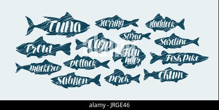 Fisch, Meeresfrüchte-Symbole einstellen Skizze-Vektor-illustration Stock Vektor