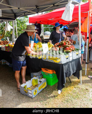 Frisches Obst Stand beim Sonntag Märkte, Port Douglas, Far North Queensland, FNQ, QLD, Australien Stockfoto