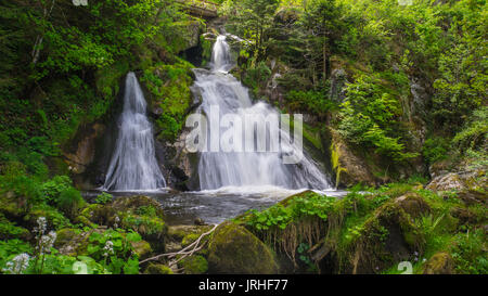 Schwarzwald - Triberg drei Wasserfälle die Langzeitbelichtung mit grünen Pflanzen und Brücke Stockfoto