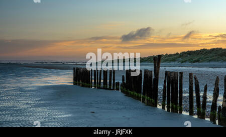 Alte groyne Beiträge auf West Wittering Strand bei Sonnenaufgang mit Dünen im Hintergrund, West Sussex, England Stockfoto