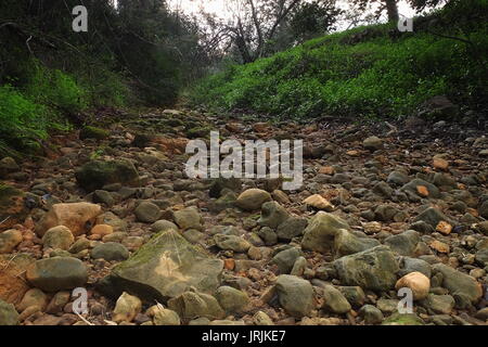 Fluss von Sao Lourenco getrocknet in den Wintermonaten. Algarve, Portugal Stockfoto