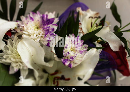 Einen schönen Blumenstrauß im Fokus Stockfoto