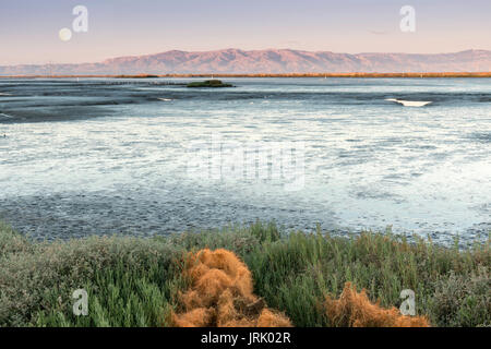 Wattenmeer auf die Bucht von San Francisco mit Vollmond über Diablo Range. Stockfoto