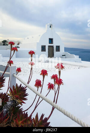 Traditionelle griechische Kirche mit roten Blumen im Vordergrund in Oia, Santorini, Griechenland Stockfoto