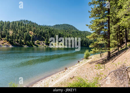 Schöne Pend Oreille River bei Pioneer Park. Stockfoto