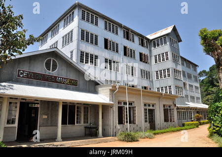 Ceylon Tee Museum in der Nähe von Kandy, Sri Lanka Stockfoto