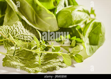 Frische Kräuter wie Basilikum und Salbei aus meinem Lancaster, Pennsylvania Garten Stockfoto