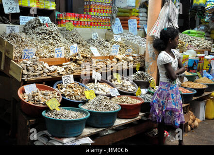 Shop Verkauf von getrockneten Fisch in Kandy, Sri Lanka Stockfoto