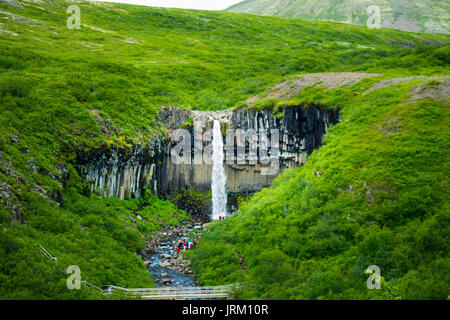 Wasserfall Svartifoss, Island Stockfoto