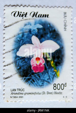 VIETNAM - ca. 2001: einen Stempel in Vietnam gedruckt zeigt Orchidee, ca. 2001 Stockfoto