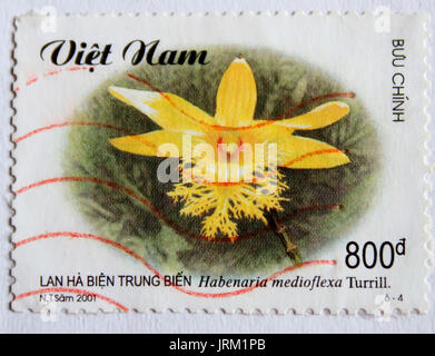 VIETNAM - ca. 2001: einen Stempel in Vietnam gedruckt zeigt Orchidee, ca. 2001 Stockfoto