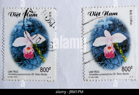 VIETNAM - ca. 2001: einen Stempel in Vietnam gedruckt zeigt Orchidee, ca. 2001 Stockfoto