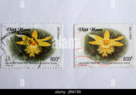 VIETNAM - ca. 2001: einen Stempel in Vietnam gedruckt zeigt Orchidee, ca. 2001 Stockfoto