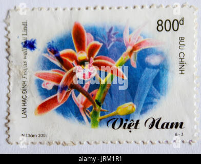 VIETNAM - ca. 2001: einen Stempel in Vietnam gedruckt zeigt Orchidee, ca. 2001 Stockfoto