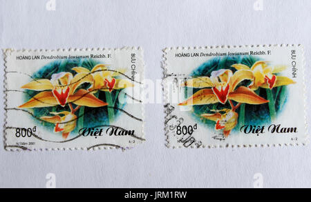 VIETNAM - ca. 2001: einen Stempel in Vietnam gedruckt zeigt Orchidee, ca. 2001 Stockfoto