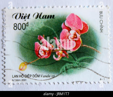 VIETNAM - ca. 2001: einen Stempel in Vietnam gedruckt zeigt Orchidee, ca. 2001 Stockfoto