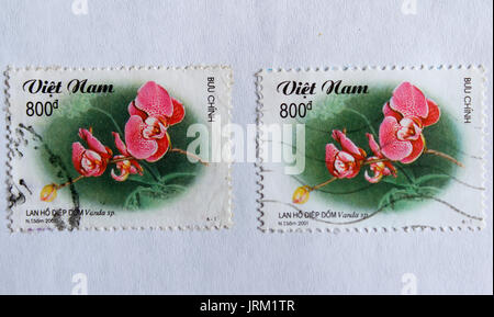 VIETNAM - ca. 2001: einen Stempel in Vietnam gedruckt zeigt Orchidee, ca. 2001 Stockfoto