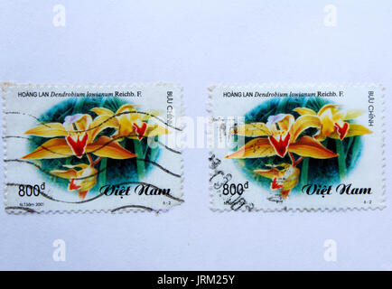 VIETNAM - ca. 2001: einen Stempel in Vietnam gedruckt zeigt gelb Orchideen, ca. 2001 Stockfoto