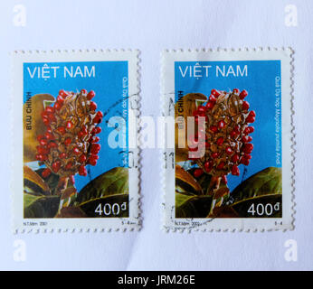 VIETNAM - ca. 2001: einen Stempel in Vietnam gedruckt zeigt magnolia Obst, ca. 2001 Stockfoto