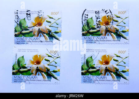 VIETNAM - ca. 2008: einen Stempel in Vietnam zeigt gedruckt Ceiba chodatii Blume, ca. 2008 Stockfoto