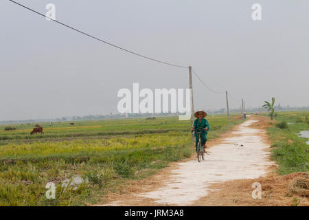 HAI DUONG, VIETNAM, AUGUST, 20.: asiatischer Mann auf einem Fahrrad auf der Straße am August 20, 2014 in Hai Duong, Vietnam. Stockfoto