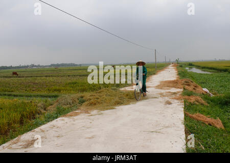 HAI DUONG, VIETNAM, AUGUST, 20.: asiatischer Mann auf einem Fahrrad auf der Straße am August 20, 2014 in Hai Duong, Vietnam. Stockfoto