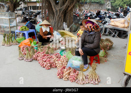 HAI DUONG, VIETNAM, APRIL, 10.: asiatische Frau Verkauf Zwiebeln auf dem Markt April 10 in Hai Duong, Vietnam Stockfoto