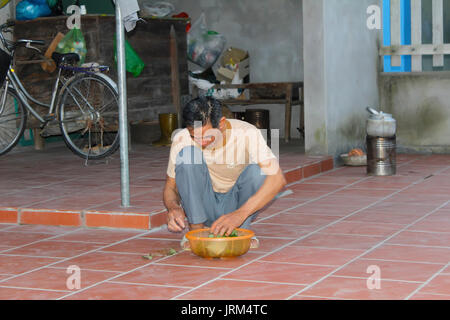 HAI DUONG, VIETNAM, AUGUST, 20.: asiatischer Mann picking Gemüse auf August 20, 2014 in Hai Duong, Vietnam. Stockfoto