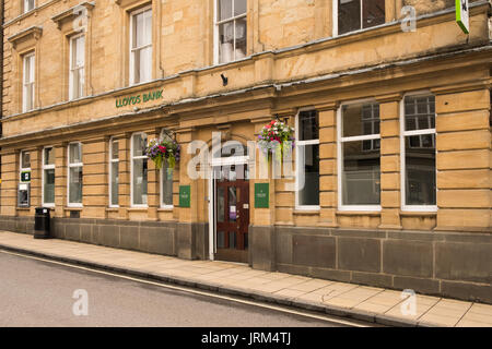 Sherborne ist eine Gemeinde in der North West Dorset, in South West England. Es liegt am Rande des Blackmore Vale gelegen Stockfoto