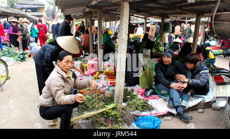 HAI DUONG, VIETNAM, APRIL, 10.: asiatische Frau verkaufen BETELNUSS am Markt am April 10 in Hai Duong, Vietnam. Stockfoto