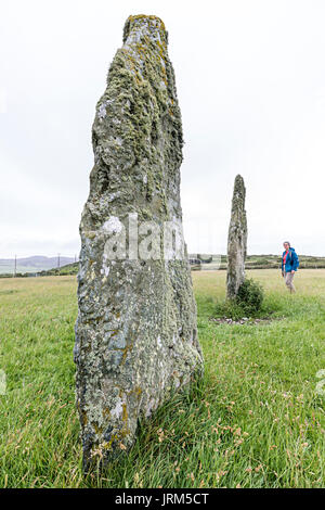 Penrhos Feilw stehende Steine, Bronzezeit, heilige Insel Anglesey, Wales, Großbritannien Stockfoto