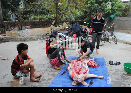 HAI DUONG, VIETNAM, Juli, 4: Asiatische Gruppe Schwein für Lebensmittel im Juli in Hai Duong, Vietnam 2014 getötet. Stockfoto