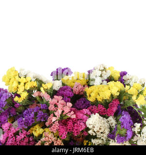 Rosa, violett, gelb, weiß Statice blumen blumenstrauss auf weißem Hintergrund Stockfoto