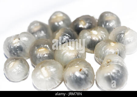 Nahaufnahme von longan auf weißem Hintergrund Stockfoto