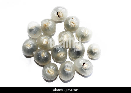 Nahaufnahme von longan auf weißem Hintergrund Stockfoto
