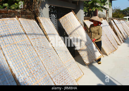 HAI DUONG, VIETNAM, Januar, 17.: Landwirt traditionell hergestellt Reis papier trocknen in der Sonne am Januar 17, 2015 in Hai Duong, Vietnam Stockfoto