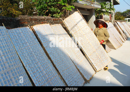 HAI DUONG, VIETNAM, Januar, 17.: Landwirt traditionell hergestellt Reis papier trocknen in der Sonne am Januar 17, 2015 in Hai Duong, Vietnam Stockfoto