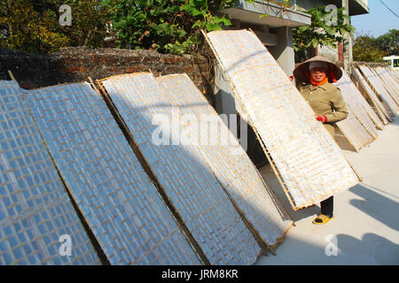 HAI DUONG, VIETNAM, Januar, 17.: Landwirt traditionell hergestellt Reis papier trocknen in der Sonne am Januar 17, 2015 in Hai Duong, Vietnam Stockfoto