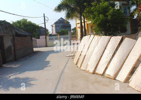 Traditionell hergestellt Reis papier trocknen in der Sonne, Vietnam Stockfoto