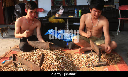 Haiduong, Vietnam, März, 18.: junge Menschen, die Verarbeitung pflanzlicher am März 18, 2015 in Hai Duong, Vietnam Stockfoto