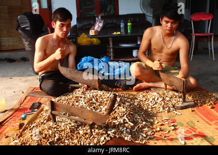 Haiduong, Vietnam, März, 18.: junge Menschen, die Verarbeitung pflanzlicher am März 18, 2015 in Hai Duong, Vietnam Stockfoto