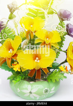 Schönen Blumen in Vasen isoliert auf weißem Stockfoto