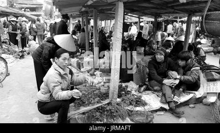 HAI DUONG, VIETNAM, APRIL, 10.: asiatische Frau verkaufen BETELNUSS am Markt am April 10 in Hai Duong, Vietnam. Stockfoto