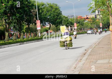 HAI DUONG, VIETNAM, September, 5: Frau verkauft Gemüse auf der Straße mit dem Fahrrad auf September 5, 2013 in Hai Duong, Vietnam Stockfoto