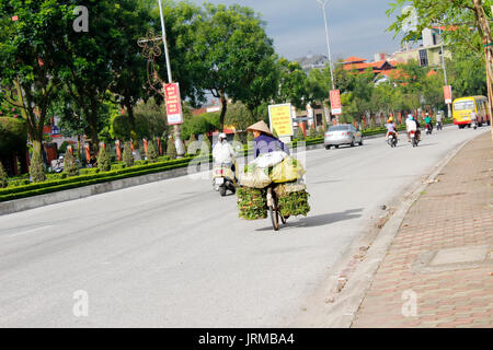 HAI DUONG, VIETNAM, September, 5: Frau verkauft Gemüse auf der Straße mit dem Fahrrad auf September 5, 2013 in Hai Duong, Vietnam Stockfoto