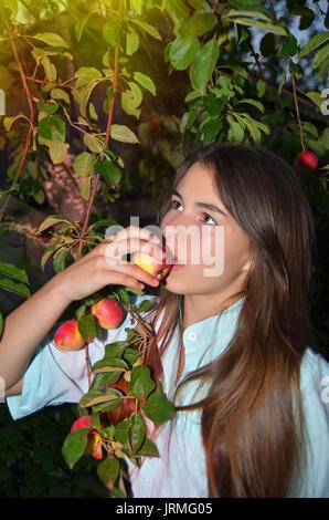 Schöne Mädchen isst Äpfel, die auf dem Baum wachsen Stockfoto