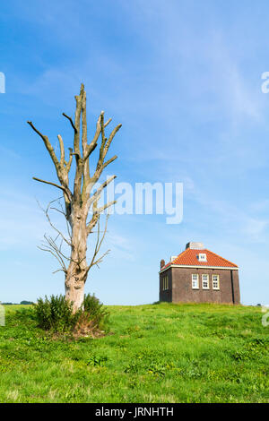 Kleine nebelhorn Haus und Stamm der toten Baum im alten Hafen von ehemaligen Insel Schokland, nordostpolder in der Provinz Flevoland, Niederlande Stockfoto